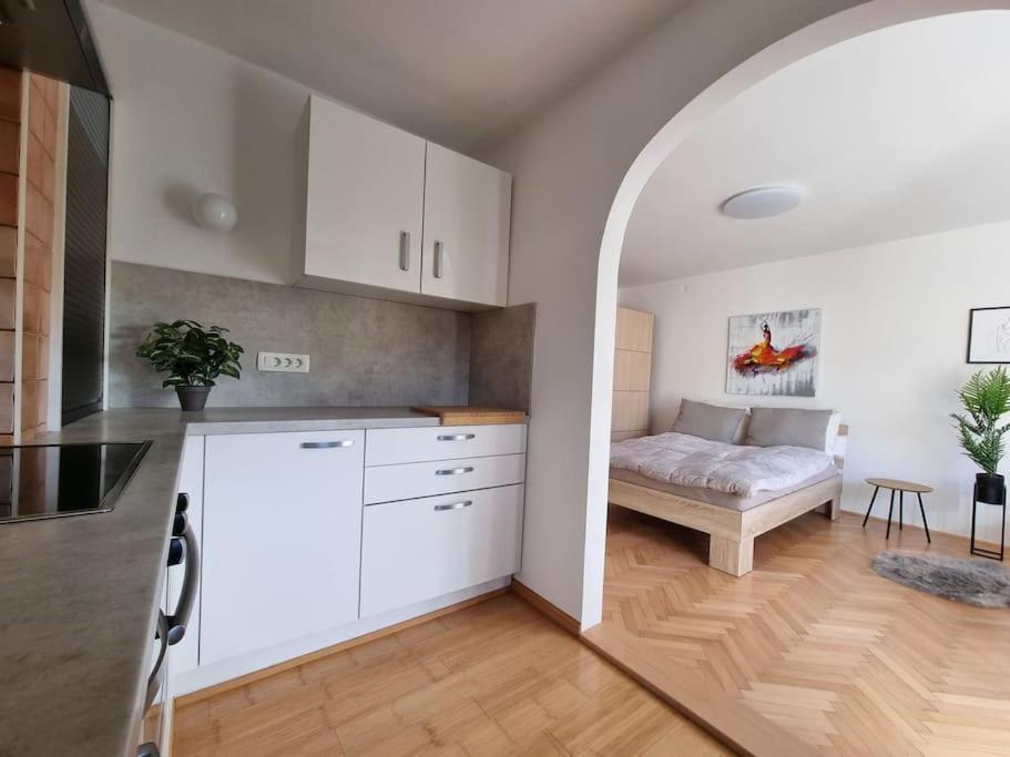 The Rowhouse Apartment Ljubljana - Free Parking 外观 照片